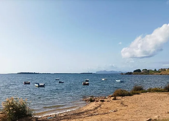 Mare Divino 马尔萨拉